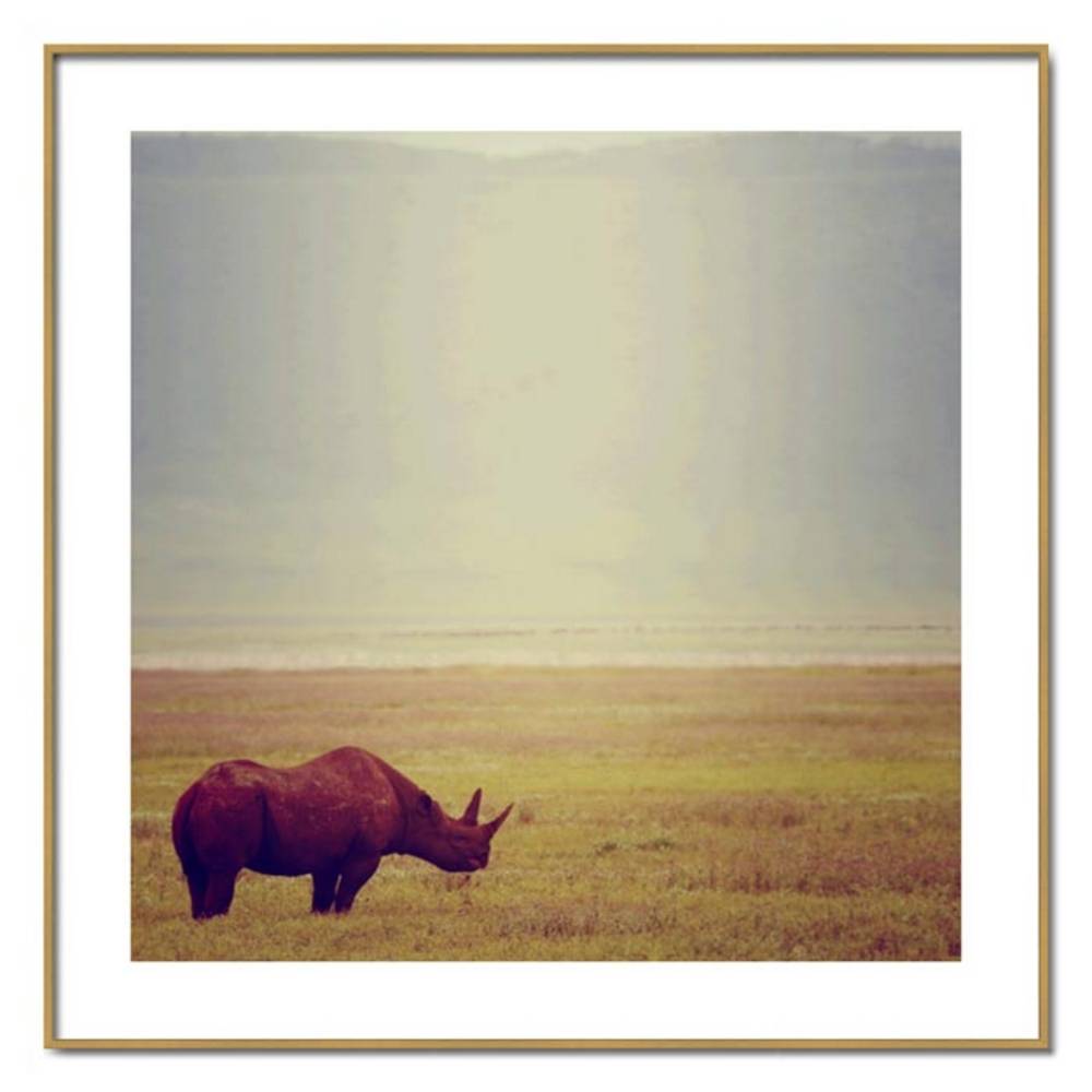 Schöner Wohnen Kollektion Gerahmter Kunstdruck 'Rhino' von Lucas Martin