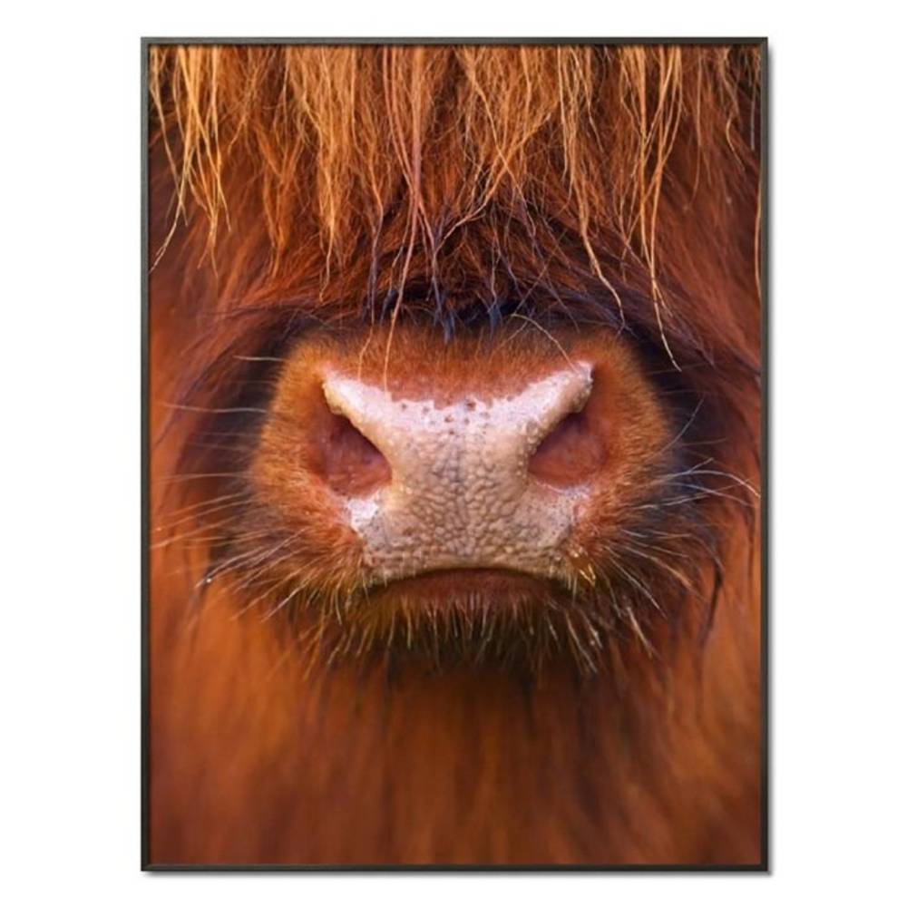 Schöner Wohnen Kollektion Gerahmter Kunstdruck 'scotty' von Wolfgang Simlinger