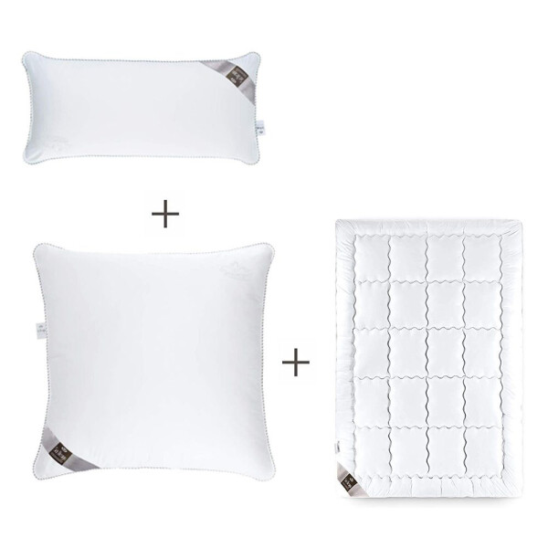 Sei Design DELuxe SWAN-SET: Bettdecke 135x200 normal + Kopfkissen 40x80 u. 80x80 Online