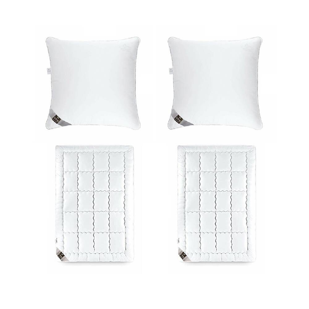 Sei Design DeLuxe SWAN-SET: Bettdecke Winter 2X 135x200 + 2x 80x80 Kopfkissen