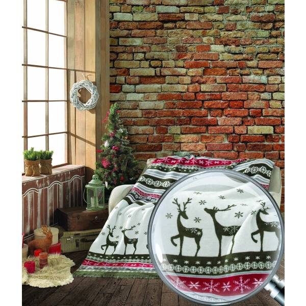 Sei Design Weihnachts Kuscheldecke 150x200 – Zweiseitige Fleece Decke mit Weihnachtlichen Wintermotiven Outlet
