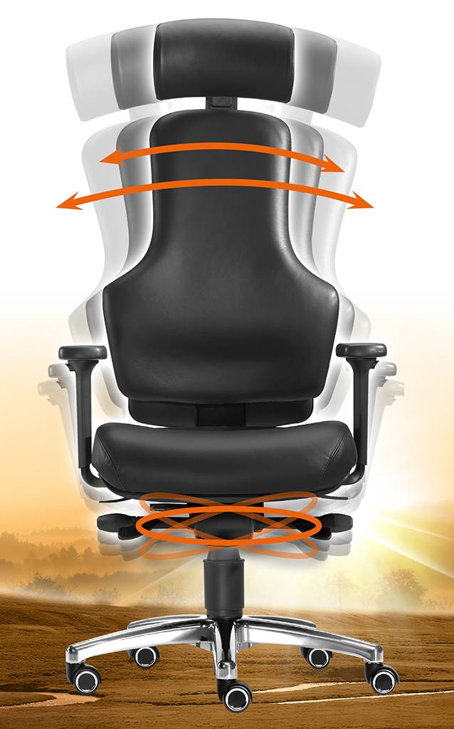 SITWELL Gernot Steifensand Ortholetic Balance L mit Kopfstütze Online