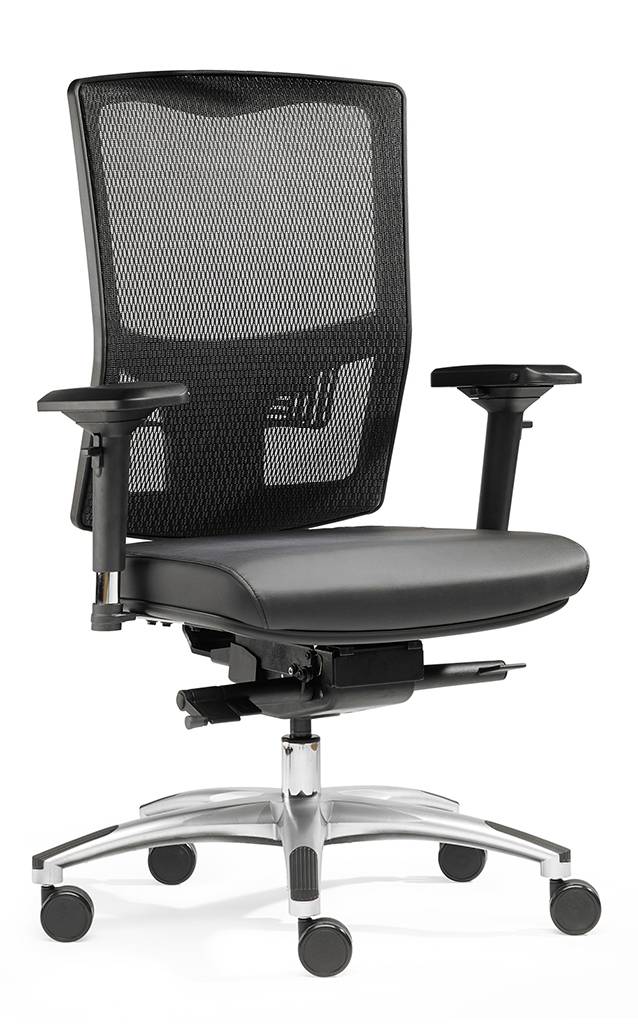 SITWELL Gernot Steifensand Liberty M im Angebot