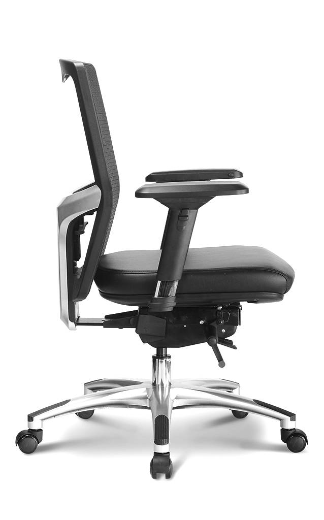 SITWELL Gernot Steifensand Liberty M im Angebot