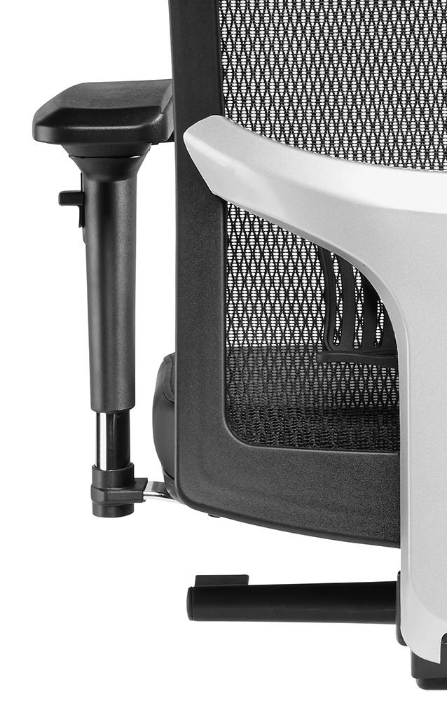 SITWELL Gernot Steifensand Liberty M im Angebot